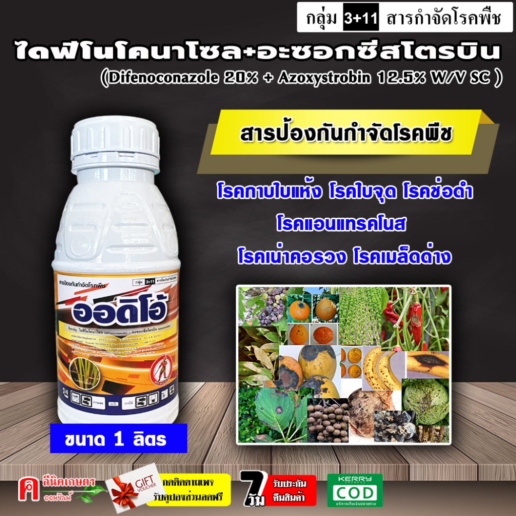 ออดิโอ้ ( 1 ลิตร ) อะซอกซีสโตรบิน+ไดฟิโนโคนาโซล สารตัวเดียวกับ ออติวา ป้องกันกำจัด โรคกาบใบแห้ง ใบไหม้ โรคแอนแทรคโนส โรค