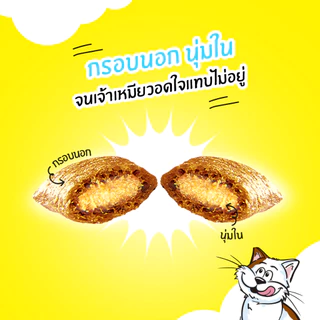 Temptation Mega Pack ขนมแมวเทมเทชั่น 160g. ทุกรสชาติ X3ถุง