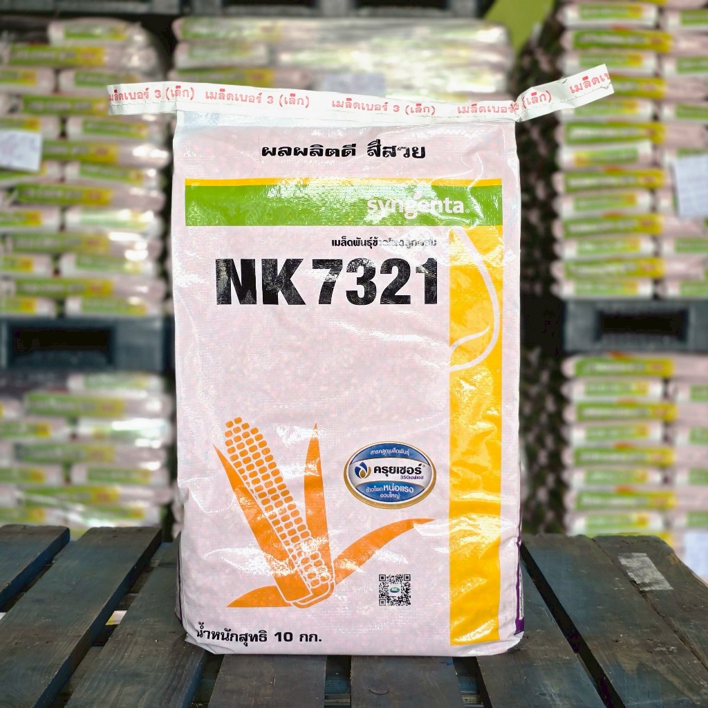 เมล็ดพันธุ์ข้าวโพดเลี้ยงสัตว์ NK 7321  3 หุน  10 kg. (ข้าวโพด เมล็ดพันธุ์ผัก เมล็ดพันธุ์พืช )