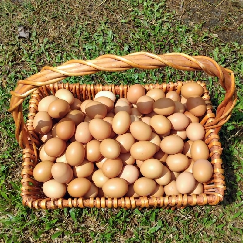 ไข่ไก่อารมณ์ดี ไข่ไก่สดจากฟาร์ม