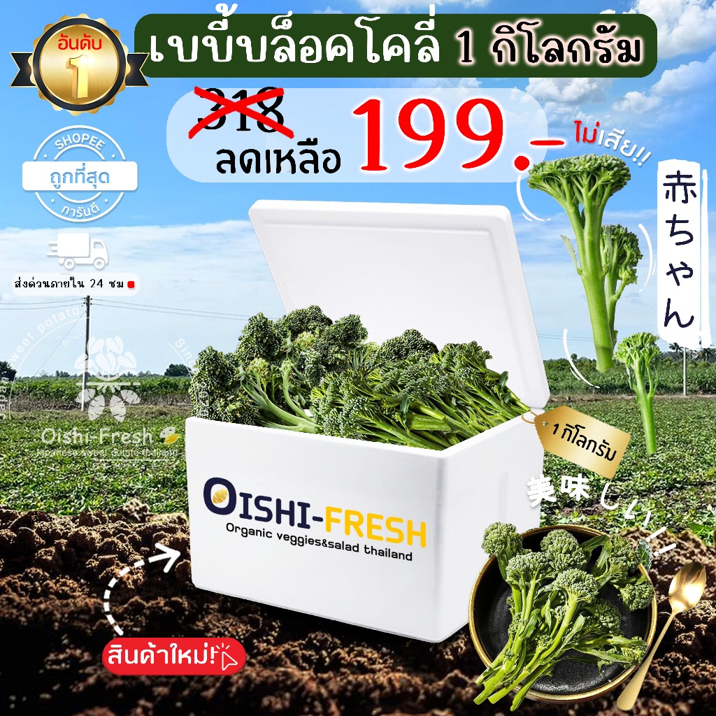 🛒Oishi-Fresh🥬เบบี้บล็อคโคลี่ ปลอดสารพิษ 1 กก. รสชาติกรอบ สด ใหม่ ใยอาหารสูง หวานออร์แกนิค เคลมได้ 1-2 วัน