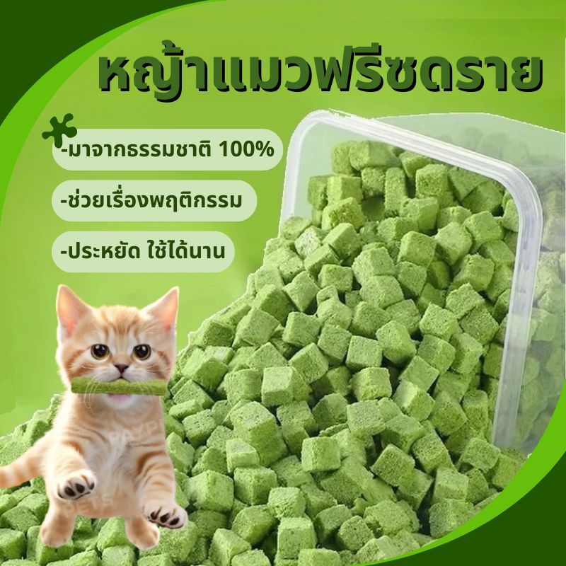 หญ้าแมวฟรีซดราย หญ้าแมวอัดแท่ง ขนมแมว หญ้าแมวผสมไก่ ถุงละ 6 แท่ง อกไก่ผสมต้นอ่อนข้าวสาลีฟรีซดรา