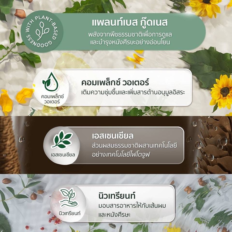 แชมพูครีมนวด แอมเวย์ซาทินิค มีครบทุกสูตร แพ็คเกจใหม่ ของแท้จากช็อปไทย - รูปที่ 2