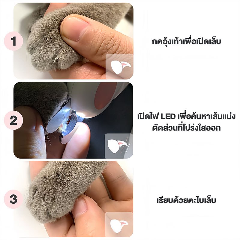 รูปภาพ 2