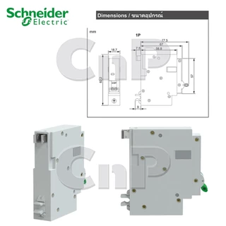 Schneider เซอร์กิตเบรกเกอร์ ลูกย่อย Circuit Breaker 1P 10A - 32A ชไนเดอร์ รุ่น Easy9