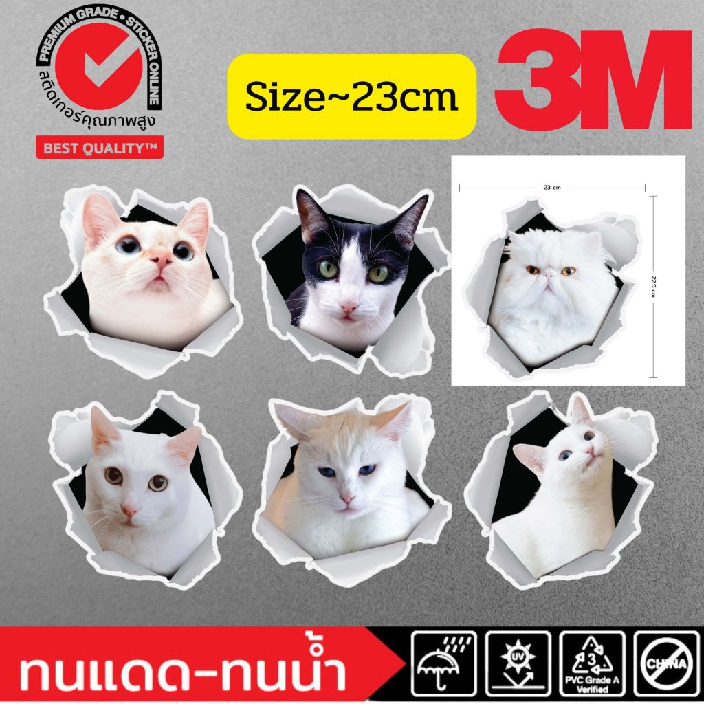 (021)Sticker 3M 3D แมว แมวขาว cat สติ๊กเกอร์ 3 มิติ รถยนต์ ผนัง กระจก สุขภันฑ์ ห้องน้ำ Petshop ร้านส