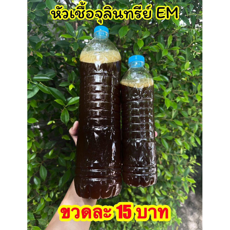 หัวเชื้อจุลินทรีย์EM เข้มข้น 1.5 ลิตร เกษตร สวน ปรับสภาพน้ำ อามิ น้ำเขียว จุลินทรีย์สังเคราะห์แสง ต้นไม้ พลั่ว