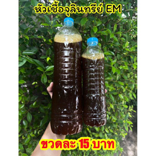 หัวเชื้อจุลินทรีย์EM เข้มข้น 1.5 ลิตร เกษตร สวน ปรับสภาพน้ำ …