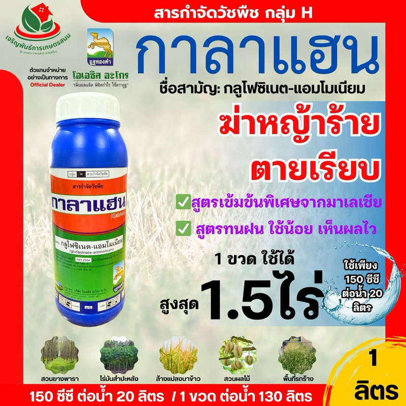 กาลาแฮน [ 4 ลิตร ] สูตรทนฝน ใช้เพียง150ซีซีต่อ 20 ลิตร กลูโฟซิเนต เนื้อยามาเลเซีย ตราอูฐทองคำ ยาเกรดดี ใช้ปริมาณต่ำ