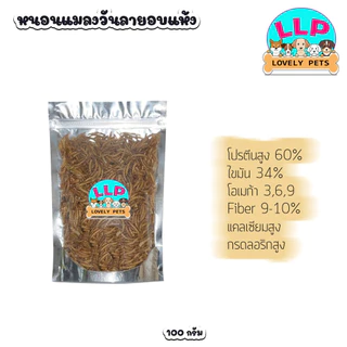 [LLP] หนอนนกอบแห้ง 100g 200g 500g ขนมสำหรับสัตว์เลี้ยงแฮมเตอร์ ชูก้าไรเดอร นก ปลา