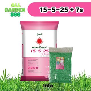 ปุ๋ยเร่งเนื้อผลไม้ เร่งสีดอกไม้ 15-5-25+7S ซันเฟต บำรุงผล เพ…