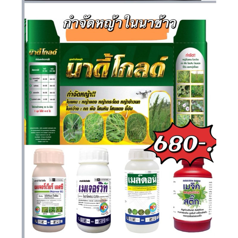 นาดี้โกลด์ สารกำจัดวัชพืช ฆ่าหญ้า ใบแคบและใบกว้าง เช่น หญ้าดอกขาว, หญ้าข้าวนก, หญ้านกสีชมพู, หญ้าแดง, กกทราย, ผักปลอดนา