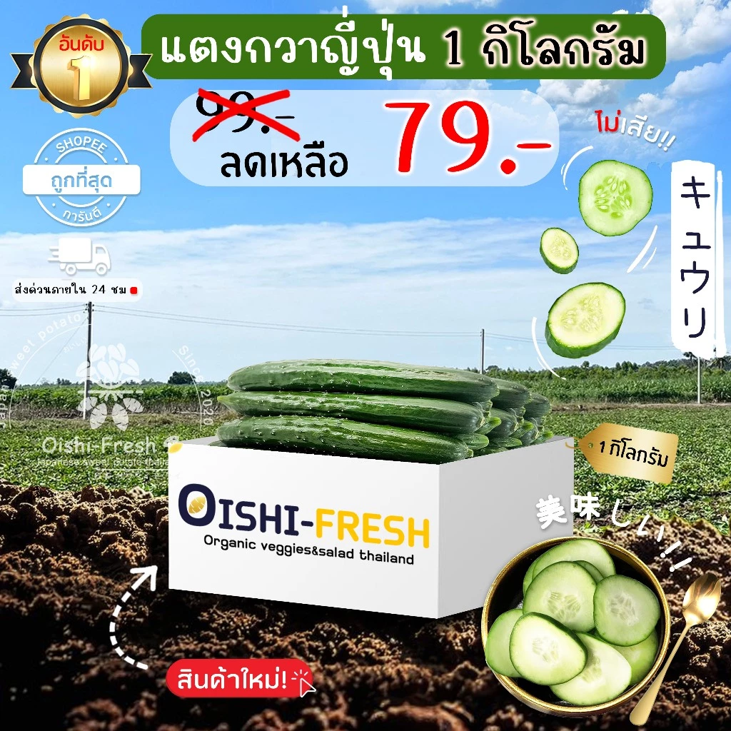 🛒Oishi-Fresh🥒แตงกวาญี่ปุ่น ปลอดสารพิษ 1 กก. รสชาติกรอบ สด ใหม่ ใยอาหารสูง หวานออร์แกนิค ผัก เคลมได้ 1-2 วัน