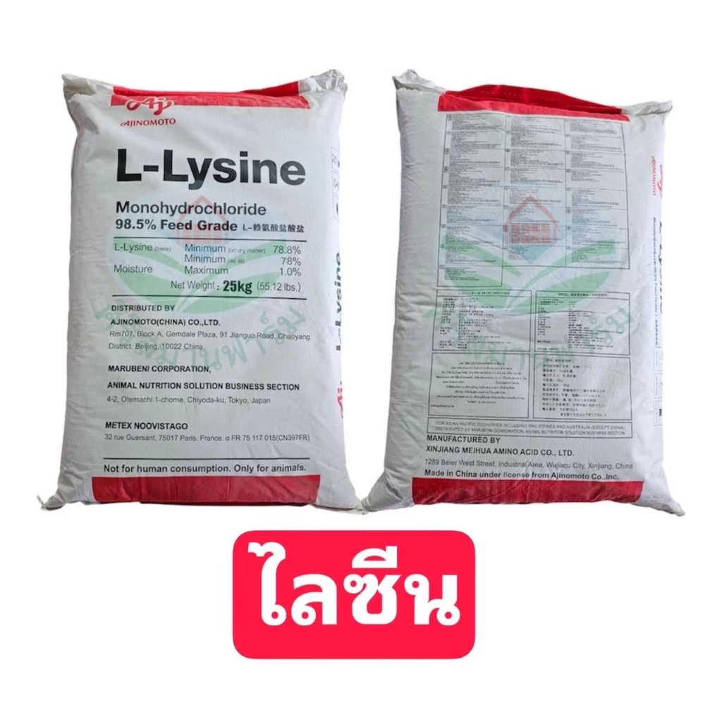 L-Lysine แอล-ไลซีน อายิ กรดอะมิโนสำหรับสัตว์เร่งโต ไก่ เป็ด สุกร วัว ปลา กุ้ง สุนัข แมวโปรตีนเสริมอาหารสัตว์ 0.5,1 กิโล