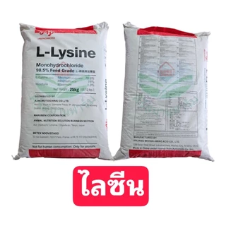 L-Lysine แอล-ไลซีน อายิ กรดอะมิโนสำหรับสัตว์เร่งโต ไก่ เป็ด สุกร วัว ปลา กุ้ง สุนัข แมวโปรตีนเสริมอาหารสัตว์ 0.5,1 กิโล