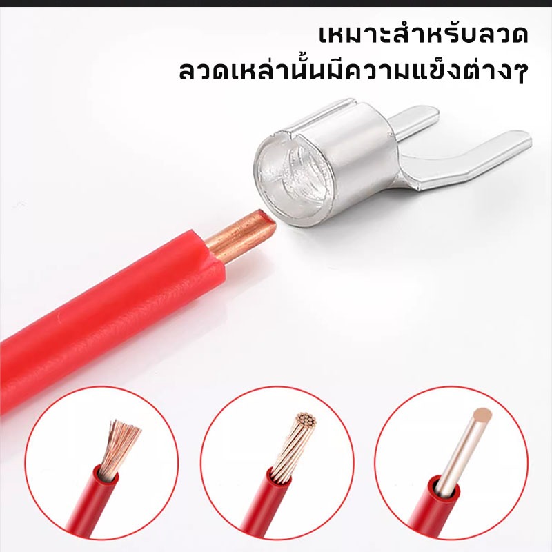 รูปภาพ 8