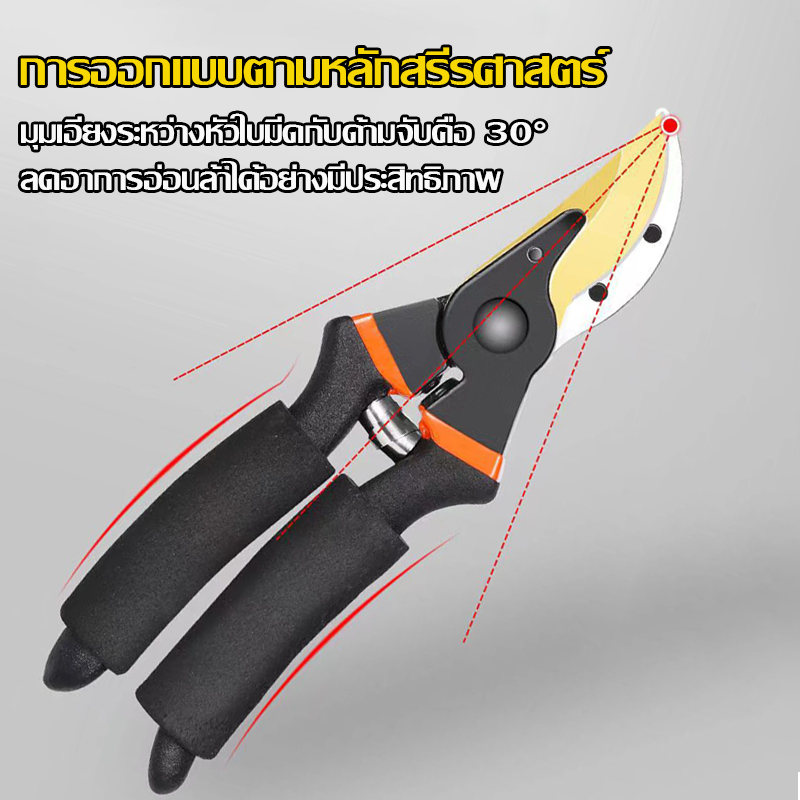 กรรไกรตัดแต่งกิ่ง กรรไกรตัดกิ่งไม้ กรรไกรตัดหญ้า SK5 แต่งสวน กรรไกรตัดกิ่ง อุปกรณ์ทำสวน ลดแรงกด น้ำหนักเบา - รูปที่ 3