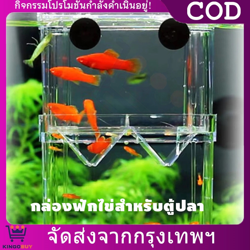 ตู้แยกปลาคลอดลูก กล่องแยกปลา 2ช่อง สำหรับเพาะพันธุ์ แยกลูกปลา แยกปลาป่วย