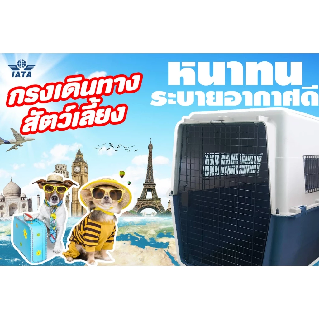กรงพลาสติกมีล้อลาก สำหรับสัตว์เลี้ยง   KN0308 สินค้าพร้อมส่ง thumbnail 3