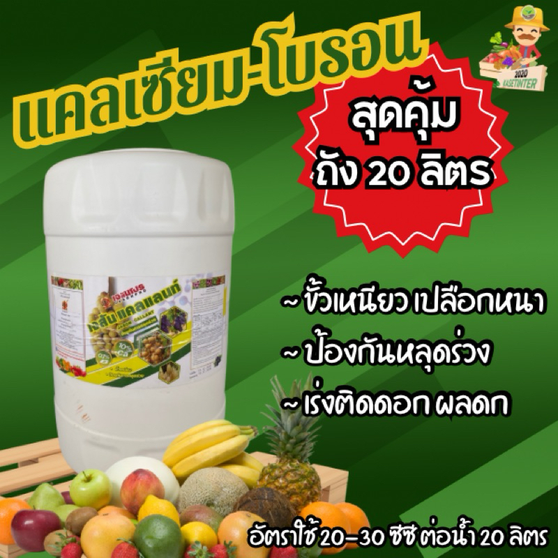 แคลเซียมโบรอน ถัง 20 ลิตร ใช้คุ้มใช้ประหยัด เปิดตาดอก แตกตาข้าง ผลดก ขั้วเหนียว เปลือกหนา