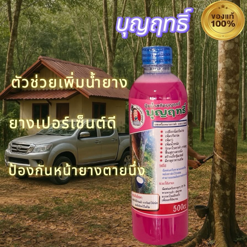 บุญฤทธิ์ 1 ขวด บำรุงหน้ายางปลอดสารเร่ง