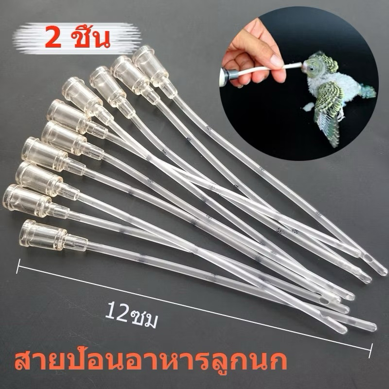 ถูก🎉2 ชิ้น สายป้อนอาหารลูกนก สายป้อนอาหารนก ที่ถูกออกแบบมาเพื่อการใช้งานอย่างดี ยาวประมาณ 12ซม