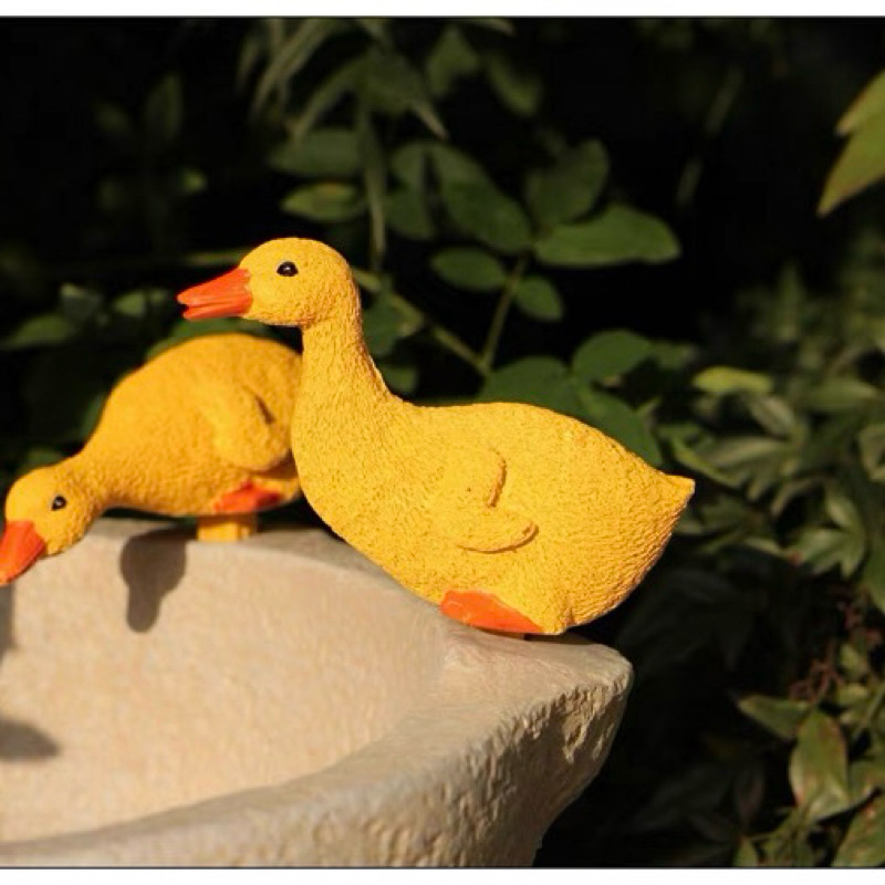 Decorative garden duck pond  อ่างเป็ดตกแต่งสวน  เพิ่มชีวิตชีวาให้สวนของคุณ ด้วยเป็ดตัวจิ๋วสุดน่ารัก  . ราคา ถูกที่สุด ดีลบีเคเค แกลเลอรีภาพที่ 6