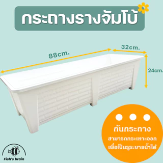 กระถางราง กระถางต้นไม้ กระถางรางสั้น กระถางรางยาว