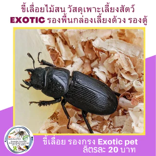 ขี้เลื่อยไม้สน วัสดุเพาะเลี้ยงสัตว์ exotıc เลี้ยงด้วง รองตู้