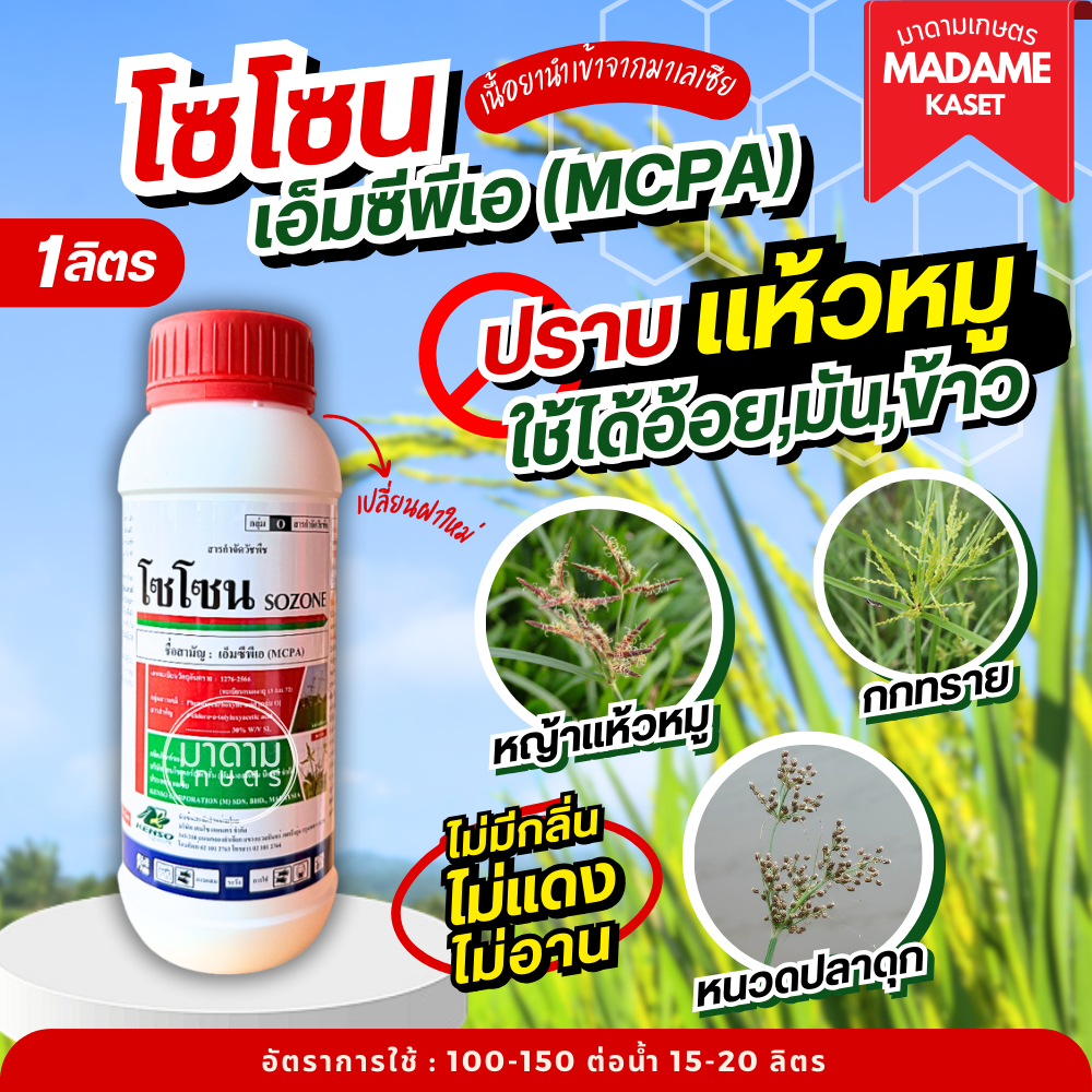 โซโซน (เอ็มซีพีเอ) 1 ลิตร สูตรไม่มีกลิ่น เก่งหญ้าแห้วหมู หนวดปลาดุก กกทราย หญ้าประเภทใบกว้าง (เนื้อยานำเข้าจากมาเลเซีย)