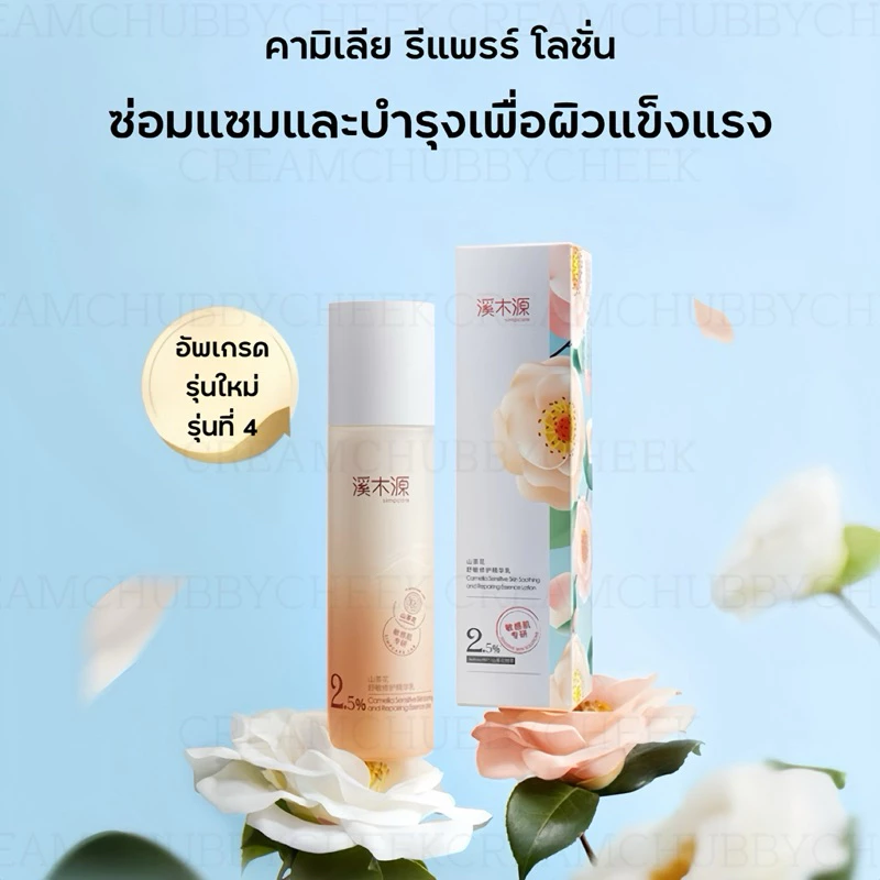 Simpcare【ร้านครีมแก้มอ้วน】สกินแคร์เอสเซนส์ดอกคามิเลีย ฟื้นฟูผิวและบำรุงผิวที่อ่อนโยน thumbnail 4