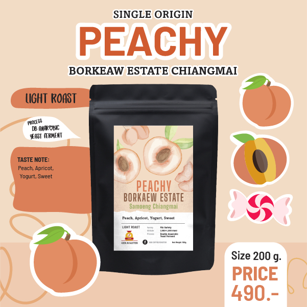 เมล็ดกาเเฟคั่วอ่อน Peachy​ Borkaew Estate Light Roast พีช แอปิคอตและโยเกิร์ต Process Double Anaerobi