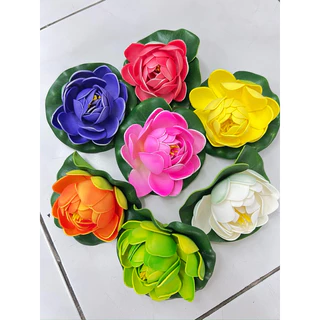 ดอกบัวลอยน้ำ 7สี 7ดอก สีสันอ่างบัวสวยงาม