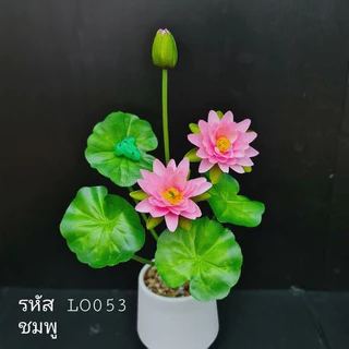 บูเก้มินิบัวเบญจพร 2สี สูง 25 ซม. 3ดอกบาน 2ดอกตูม