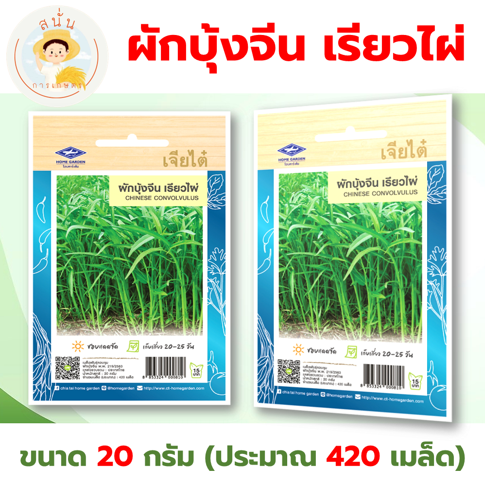 เมล็ดพันธุ์ ผักบุ้งจีน เรียวไผ่ (Chinese Convolvulus) ผักซอง เจียไต๋ OP ขนาด 20 กรัม (ประมาณ 420 เมล็ด)