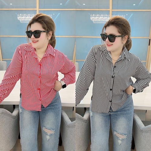 H21 เชิ้ตริ้วคอปกแขนยาว อก 44 48 52