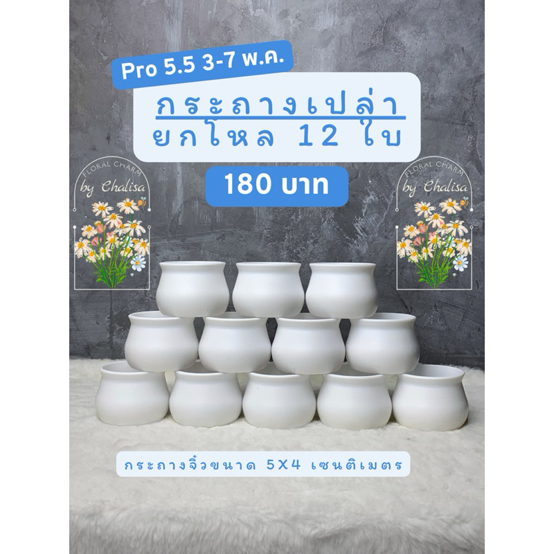กระถางจิ๋วสีขาวทรงกลม