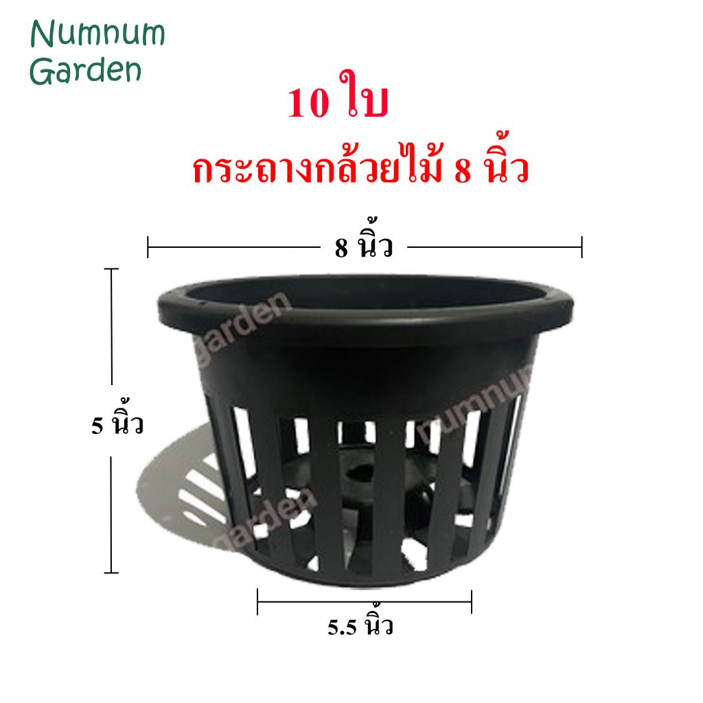 10 ใบ กระถางกล้วยไม้ ขนาด 8 นิ้ว กระเช้ากล้วยไม้ กระเช้า กระถางพลาสติก ดำ เกรด A