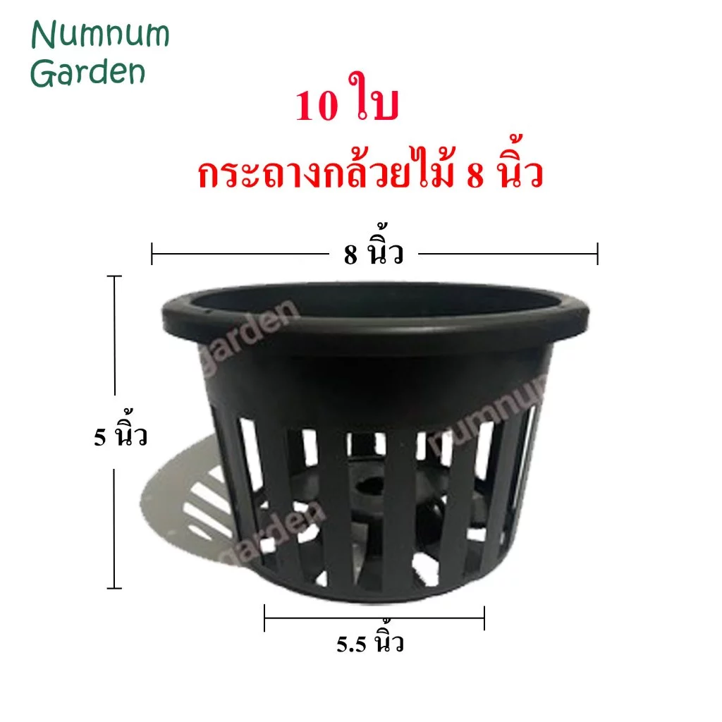 10 ใบ กระถางกล้วยไม้ ขนาด 8 นิ้ว กระเช้ากล้วยไม้ กระเช้า กระถางพลาสติก ดำ เกรด A