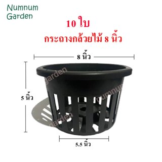 10 ใบ กระถางกล้วยไม้ ขนาด 8 นิ้ว กระเช้ากล้วยไม้ กระเช้า กระ…