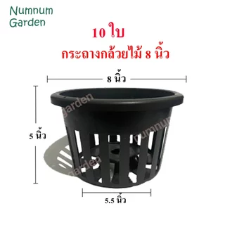 10 ใบ กระถางกล้วยไม้ ขนาด 8 นิ้ว กระเช้ากล้วยไม้ กระเช้า กระถางพลาสติก ดำ เกรด A