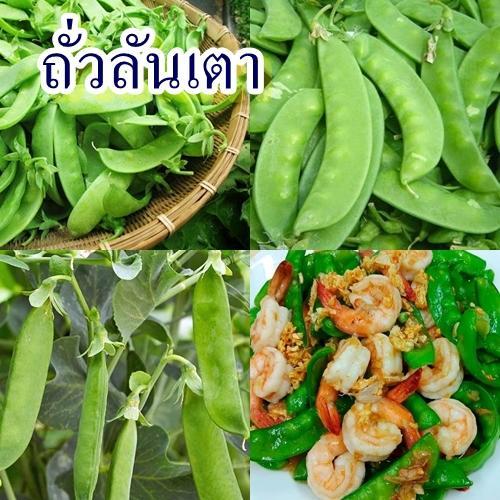 30+ เมล็ด เมล็ดถั่วลันเตา (เมล็ดฝักอ่อนและยอดอ่อน นำมาปรุงอาหารได้หลายเมนู เช่น ผัดผัก ผัดหมูถั่วลันเตา แกงเลียง แกงจืด)