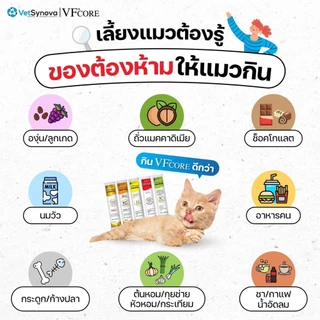 VF+Core วีเอฟคอร์ อาหารเสริมแมวเลีย วิตามินแมว บำรุงร่างกาย ขนาดซองละ 12g. [ยกกล่อง 30 ซอง]