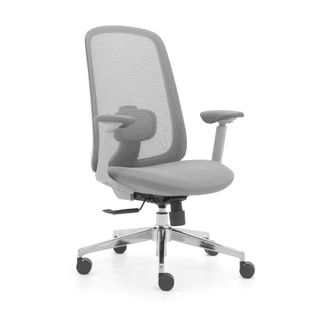Perfect เก้าอี้ทำงาน รุ่น VARIETY เก้าอี้ทำงานเพื่อสุขภาพ Ergonomic Chair เก้าอี้เพื่อสุขภาพ เก้าอี้คอม เก้าอี้