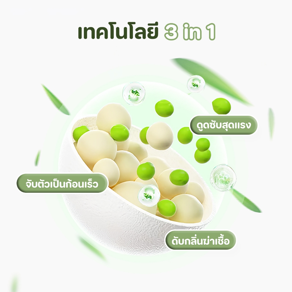 รูปภาพ 3