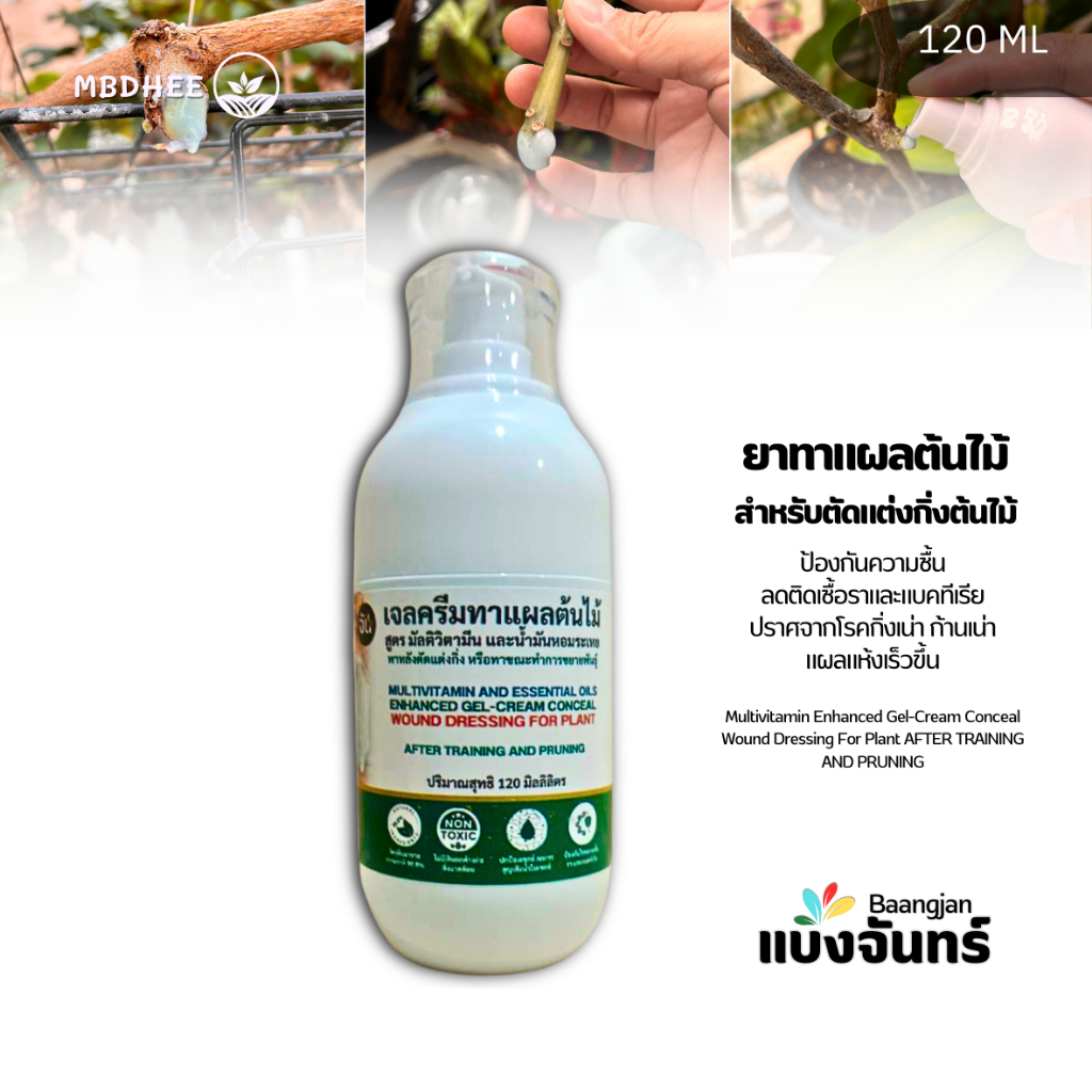 ยาทาแผลต้นไม้ ขนาด 120 ml TREE WOUND DRESSING  ป้องกันการติดเชื้อราและแบคทีเรีย ปราศจากโรคกิ่งเน่าก้านเน่า