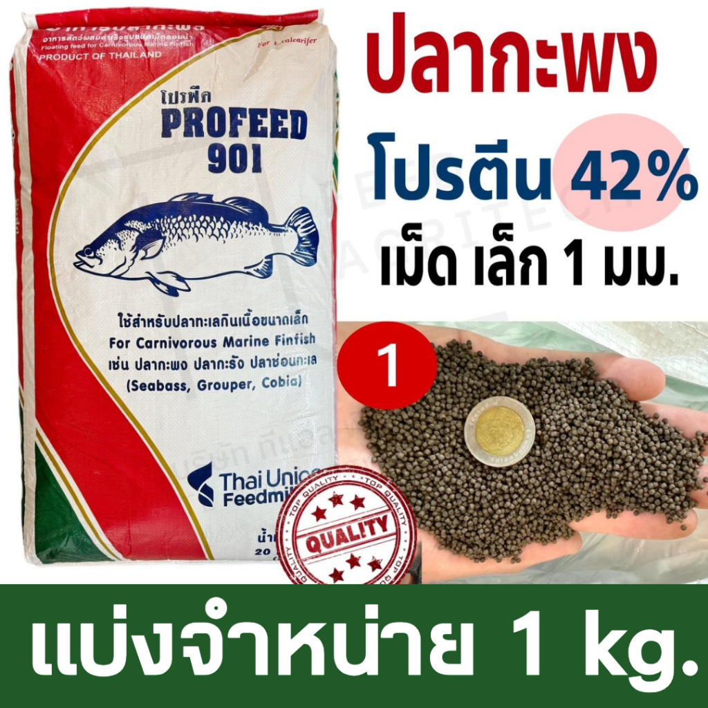 ProFeed อาหารปลากระพง โปรฟีด โปรตีน 42% อาหารปลาทะเล >> 901 << แบ่งขาย