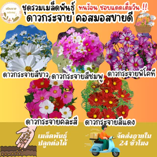 เมล็ดพันธุ์ ขายดีติดอันดับ Top10 ปลูกง่าย โตไว อัตราการงอกสูง พร้อมส่ง เมล็ดพันธุ์แท้OP นำเข้าจากต่างประเทศ