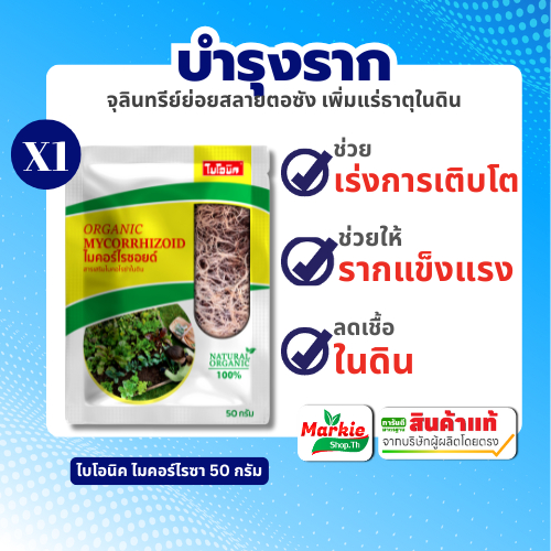 ไบโอนิค ไมเคอร์ไรซ่า 50 กรัม 1 ซอง ไมคอร์ไรซากระตุ้นการเจริญเติบโตของพืช เพิ่มความแข็งแรงทนทานให้กับพืช