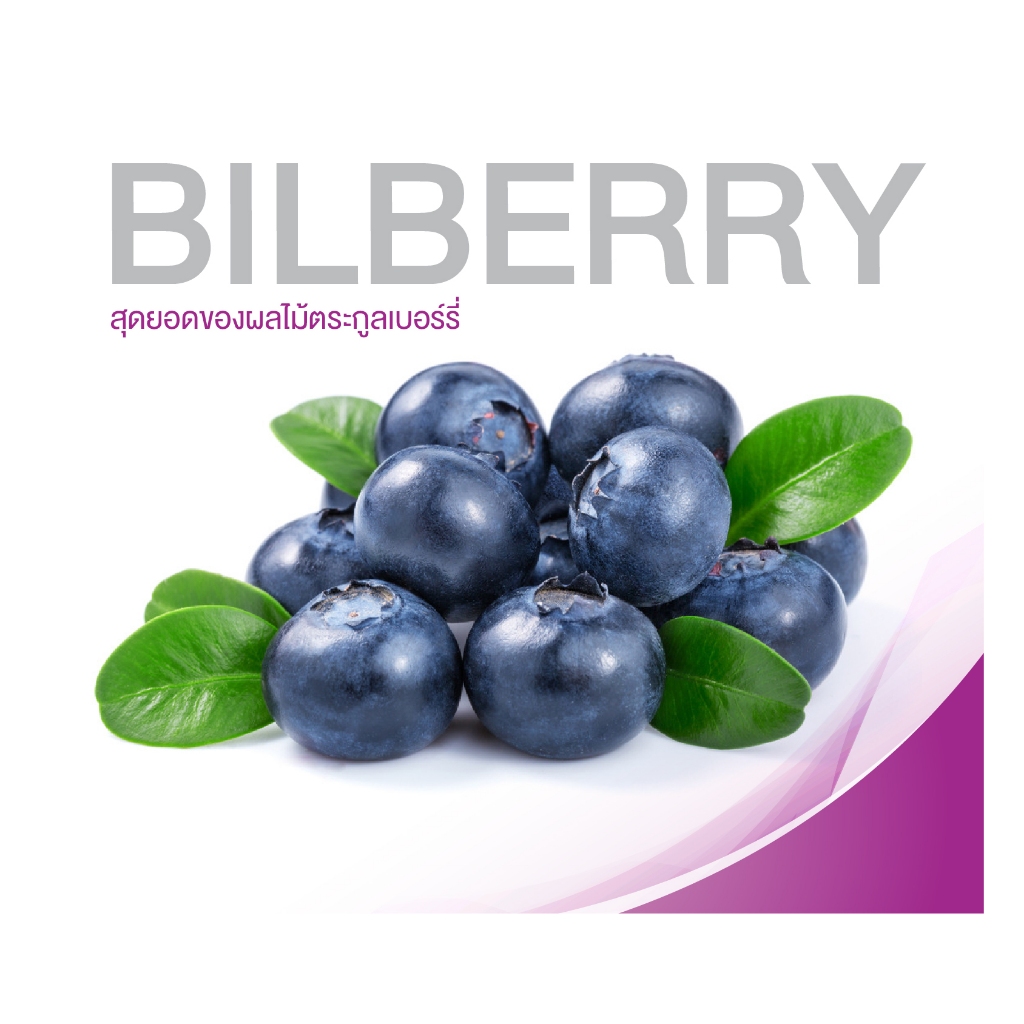 VISPRO วิตามินดวงตา อ้างอิงสูตร AREDS-2 จาก USA จัดเต็มสารสกัด 8 ชนิด บิลเบอร์รี่ bilberry ลูทีน lutein zeaxanthin ราคา ถูกที่สุด ดีลบีเคเค แกลเลอรีภาพที่ 4